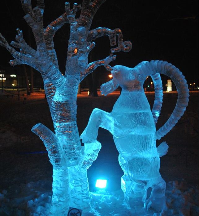 Ledo skulptūrų festivalyje Druskininkuose – alytiškio skulptoriaus pergalė