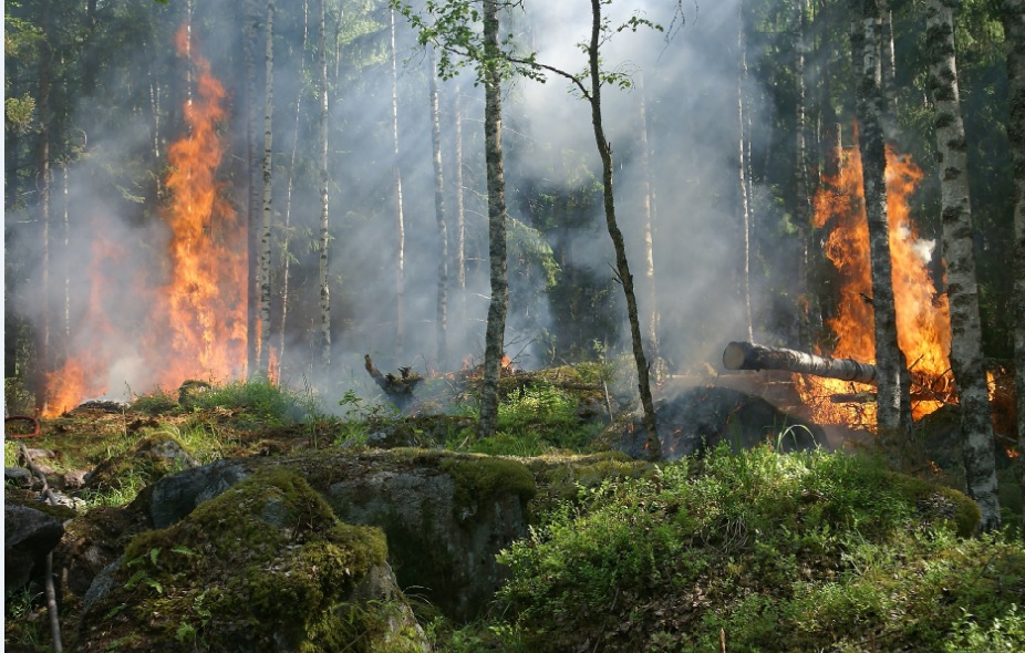 Miškininkai stiprina apsaugą nuo gaisrų ir ragina su ugnimi elgtis atsakingai