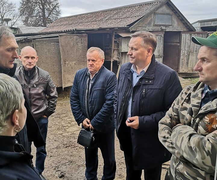 Gauti naujausi tyrimų rezultatai: skerdžiamų gyvulių skaičius susitraukė 15 kartų
