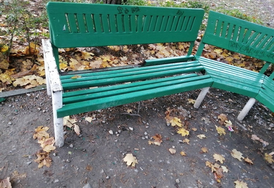 Alytaus Miesto sode – vandalų išpuolis Alytaus Miesto sode – vandalų išpuolis