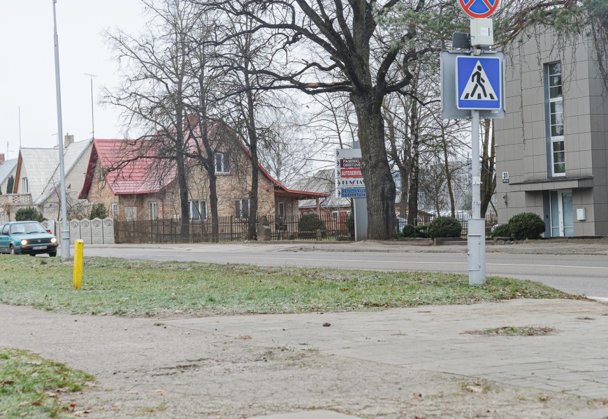 Leidimas dėl Ulonų gatvės rekonstrukcijos metu kertamų medžių – tik po ekspertų išvados