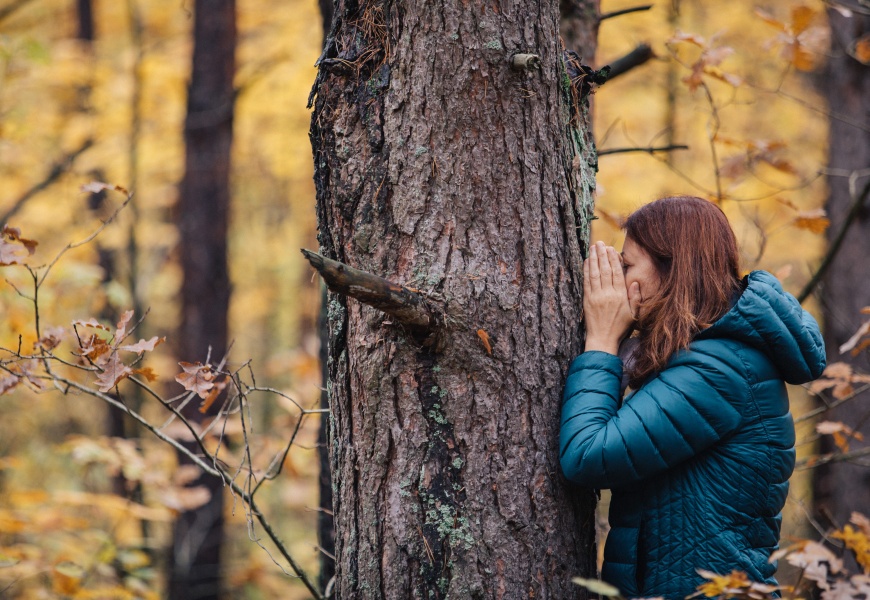 Alytuje – pažintis su mediniais stebuklais ir miško maudynėmis