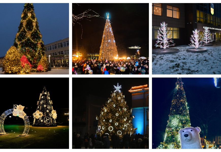 Dzūkijos Kalėdos: kiek lėšų joms skyrė savivaldybės? Dzūkijos Kalėdos: kiek lėšų joms skyrė savivaldybės?