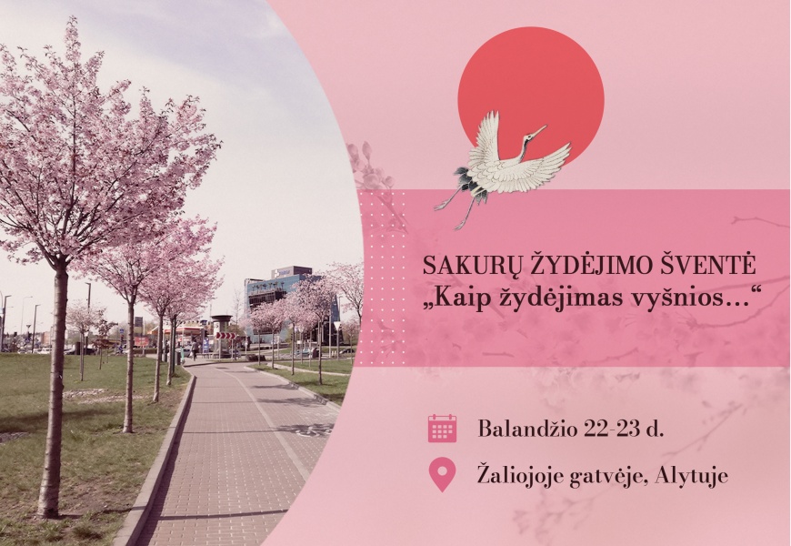 Kartu su Žaliosios gatvės sakuromis Alytuje sužydės ir Japoniška kultūra