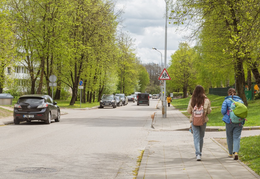 Alytuje dėl gatvės rekonstrukcijos teks iškirsti medžius, tačiau jie bus atsodinti Alytuje dėl gatvės rekonstrukcijos teks iškirsti medžius, tačiau jie bus atsodinti