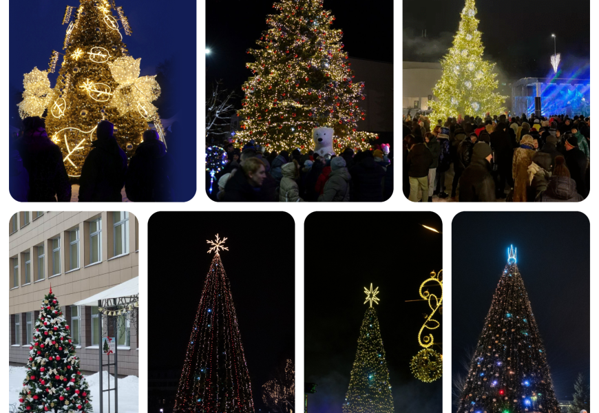 Kuri Pietų Lietuvos Kalėdų eglė Jums patinka labiausiai?
