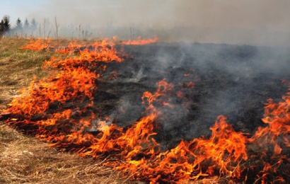 Alytaus rajone bus vykdoma prevencinė akcija „Nedegink žolės!“