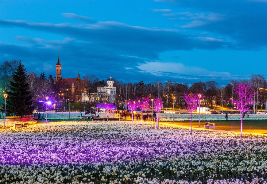 Druskininkai kviečia į Narcizų žydėjimo šventę!