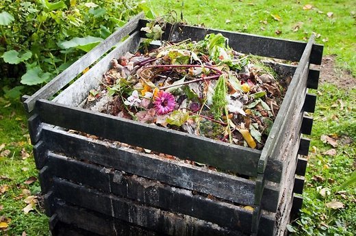 Ką daryti, kad namuose pagamintas kompostas būtų kokybiškas?