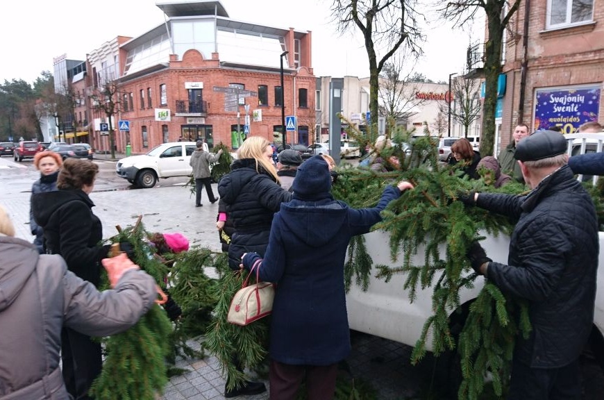 Parsineškite Kalėdas į savo namus: miškininkai nemokamai dalins eglių šakas