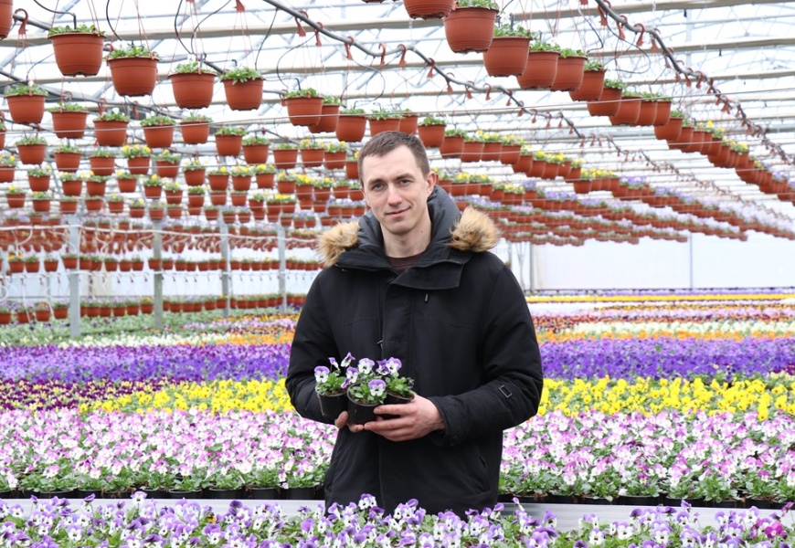 Alytaus rajone – net gėlininkystės guru laikomus olandus stebinančios gėlės