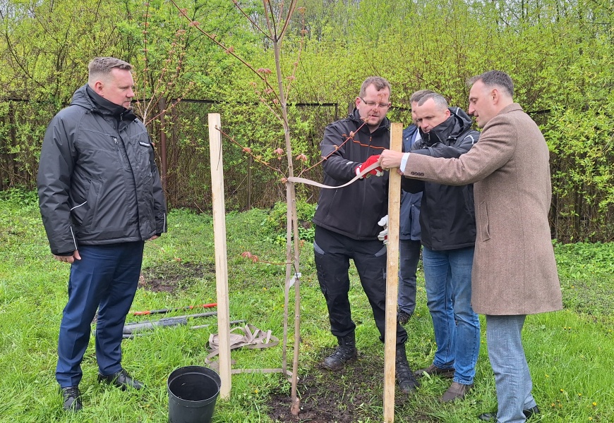 „Alytaus šilumos tinklai“ tęsia akciją: už atsisakytas popierines sąskaitas sodina medžius