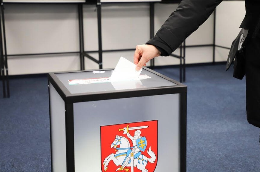 Lietuvos prezidento rinkimai: kaip balsavo Dzūkija?