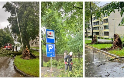 Alytuje šalinami smarkaus vėjo ir liūties sukelti padariniai