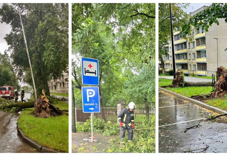 Alytuje šalinami smarkaus vėjo ir liūties sukelti padariniai