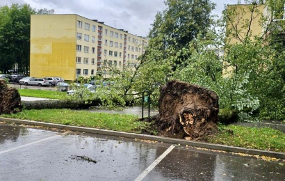 Svarbi informacija alytiškiams: kaip tinkamai patiems sutvarkyti audros nuverstus medžius?