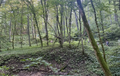 Viešosios Alytaus miesto erdvės kviečia judėti darniai kartu!