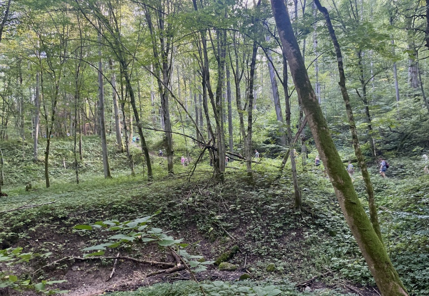 Viešosios Alytaus miesto erdvės kviečia judėti darniai kartu!