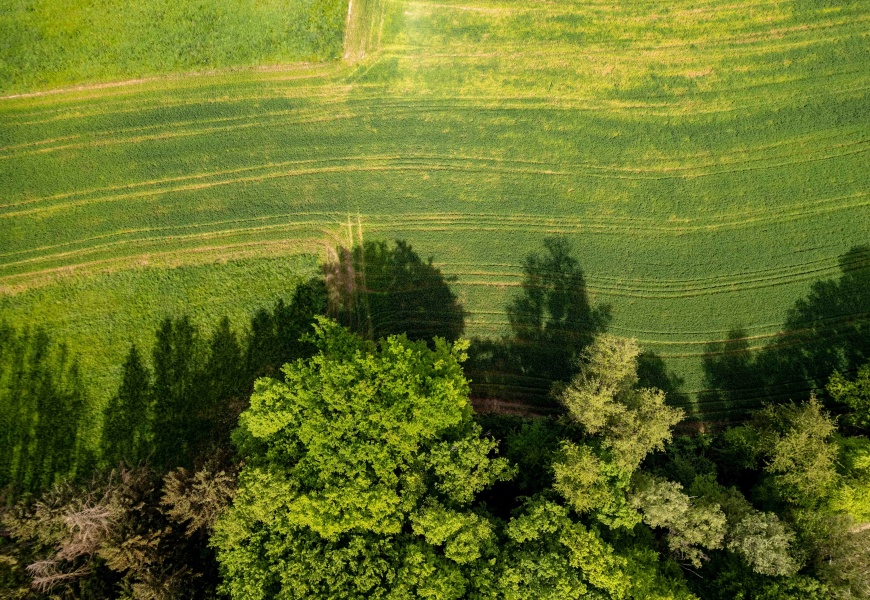 Žemdirbiai galės įsigyti dirbamos valstybinės žemės