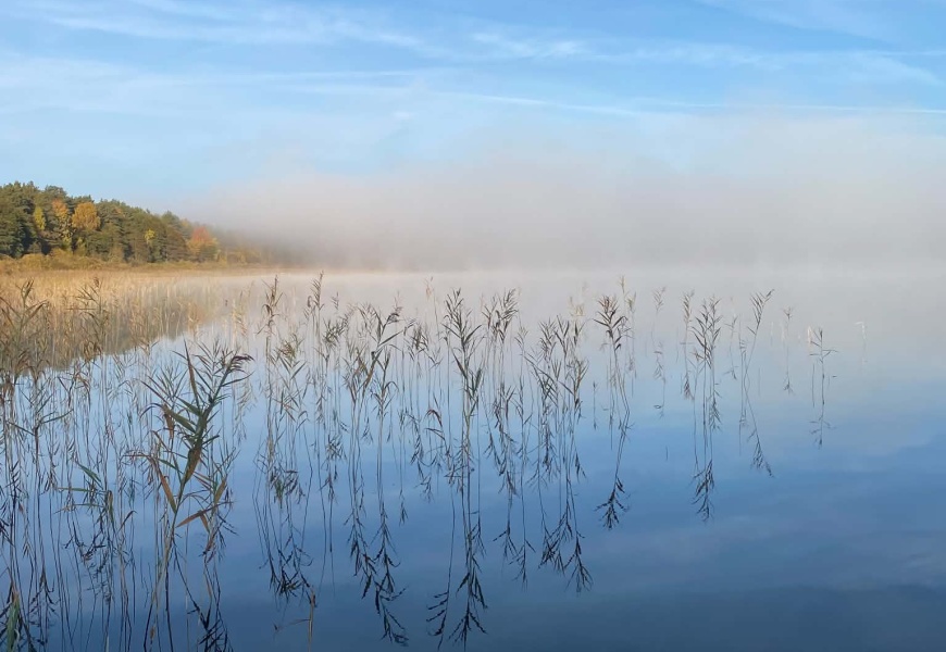 Glėbo ežere laikinai maudytis nerekomenduojama