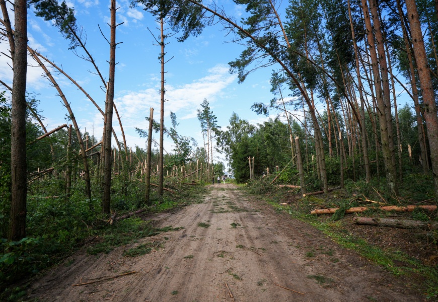 Druskininkų savivaldybėje intensyviai šalinami praėjusią naktį praūžusios audros padariniai