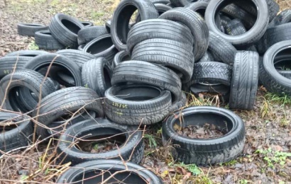 Miškuose paliktų padangų kaina: nuo žalos aplinkai iki baudų teršėjams Miškuose paliktų padangų kaina: nuo žalos aplinkai iki baudų teršėjams