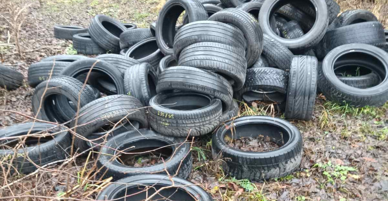 Miškuose paliktų padangų kaina: nuo žalos aplinkai iki baudų teršėjams Miškuose paliktų padangų kaina: nuo žalos aplinkai iki baudų teršėjams