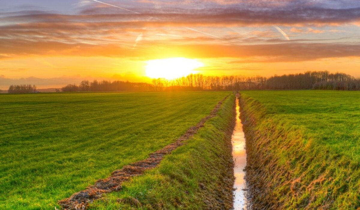 Vandens pilnas melioracijos griovys tarp žalių laukų saulei leidžiantis.