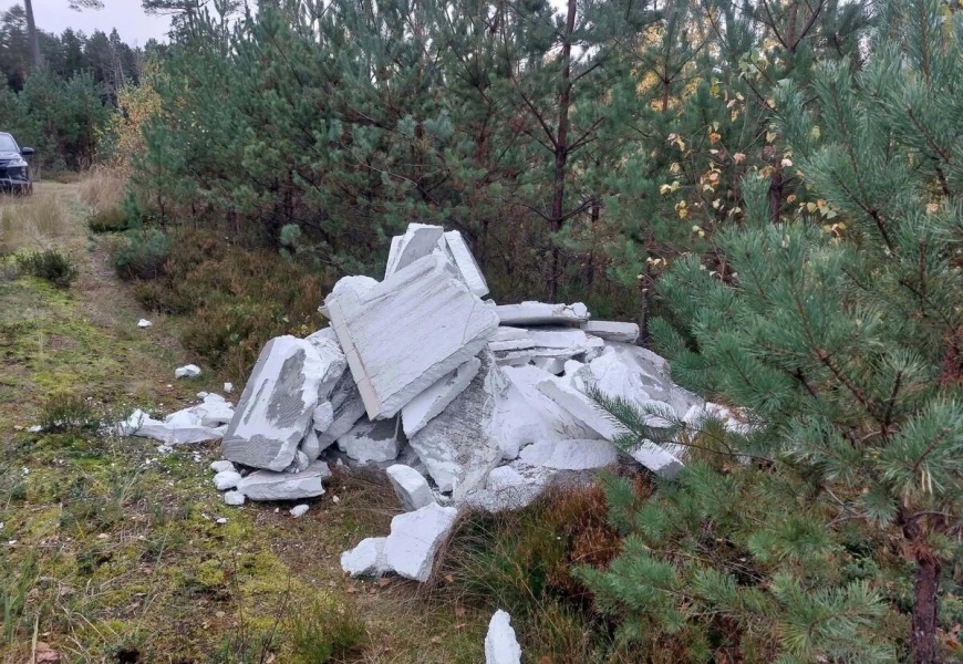 Šiukšlės miške kelia grėsmę visai ekosistemai