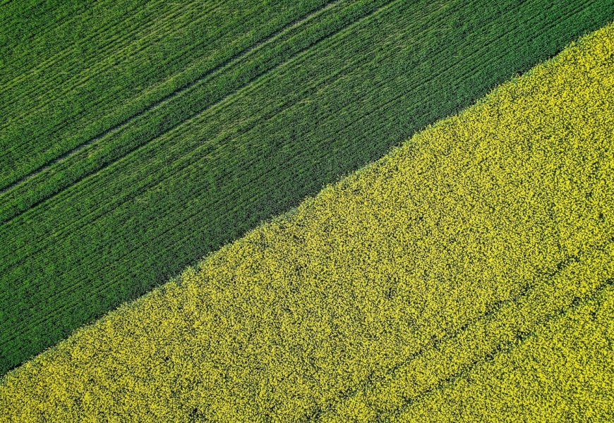 Nuo 2027 m. savivaldybės perims valstybinės žemės administravimą ir kaimo teritorijose