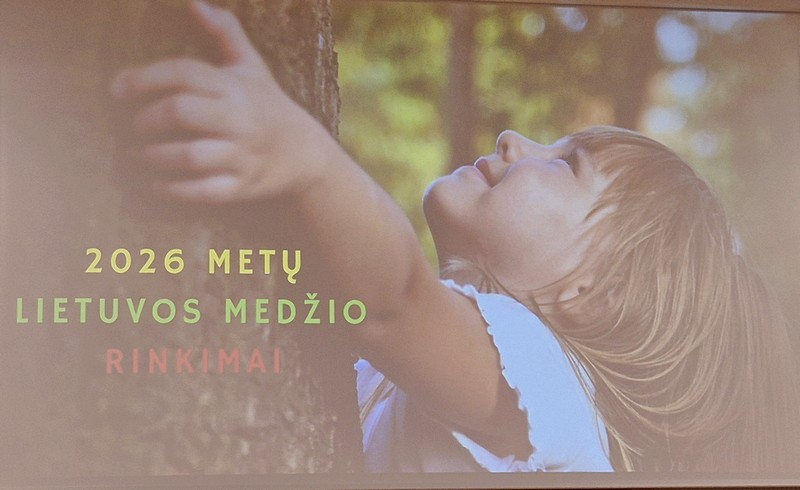 Kai medis suburia žmones: Strielčių kriaušės istorija – bendruomeniškumo stiprybės pavyzdys
